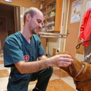 Dr. Áy Gergely
