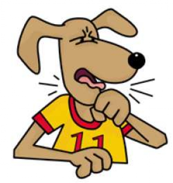 Mi is az a Kennel-köhögés?